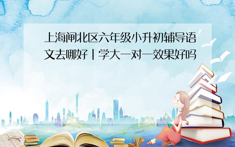 上海闸北区六年级小升初辅导语文去哪好|学大一对一效果好吗