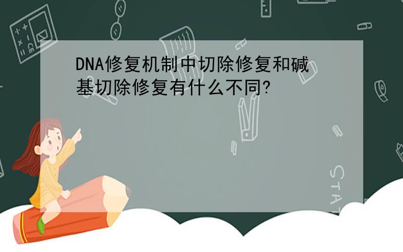 DNA修复机制中切除修复和碱基切除修复有什么不同?