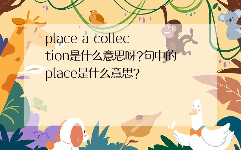 place a collection是什么意思呀?句中的place是什么意思?