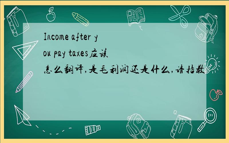 Income after you pay taxes应该怎么翻译,是毛利润还是什么,请指教