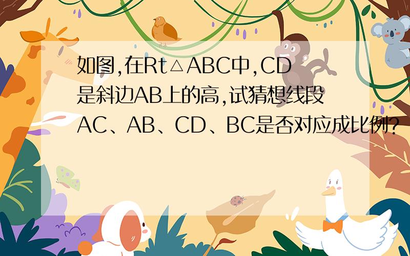 如图,在Rt△ABC中,CD是斜边AB上的高,试猜想线段AC、AB、CD、BC是否对应成比例?