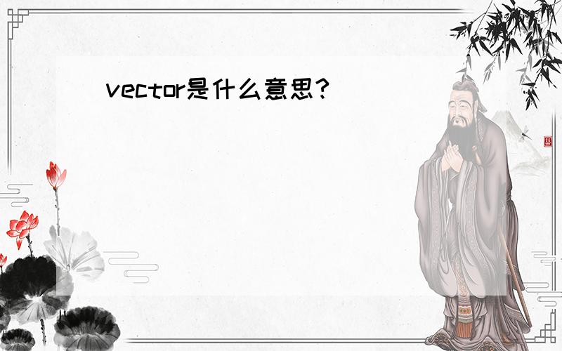 vector是什么意思?