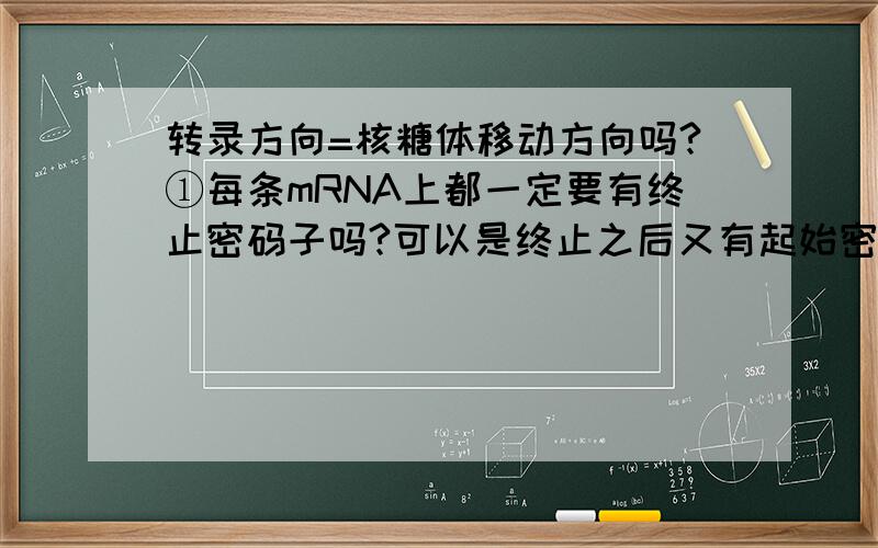 转录方向=核糖体移动方向吗?①每条mRNA上都一定要有终止密码子吗?可以是终止之后又有起始密码子吗（也就是一条mRNA能合成两【种】肽链）?②什么叫做一个基因（重点在“一个”上,怎样算