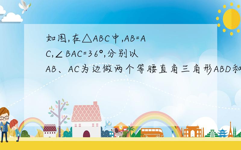 如图,在△ABC中,AB=AC,∠BAC=36°,分别以AB、AC为边做两个等腰直角三角形ABD和ACE,∠BAD=∠CAE=90°.（1）求∠DBC的度数；（2）求证：BD=CE