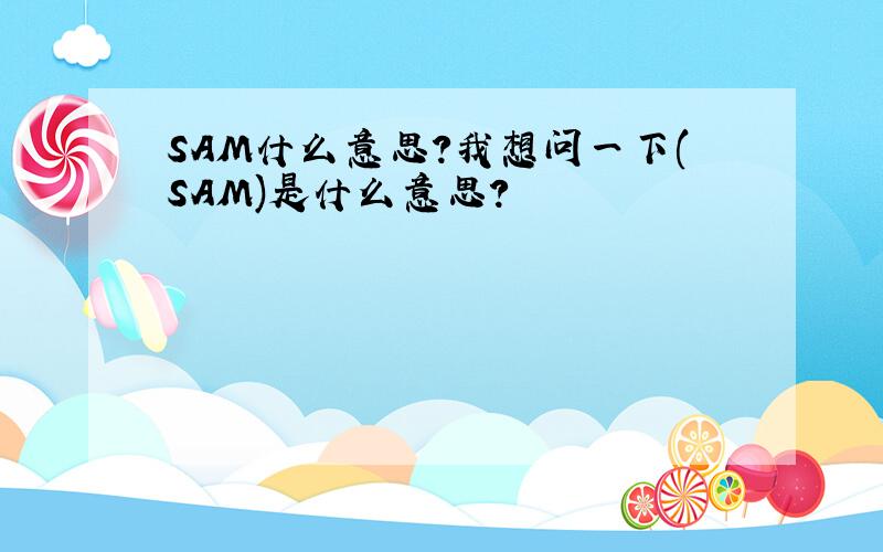 SAM什么意思?我想问一下(SAM)是什么意思?