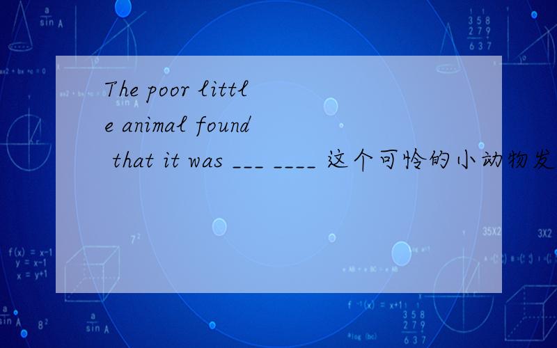 The poor little animal found that it was ___ ____ 这个可怜的小动物发现他的处境很危险