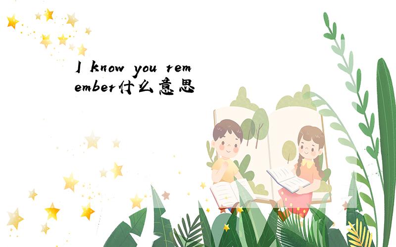 I know you remember什么意思