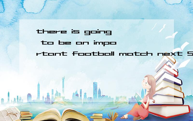 there is going to be an important football match next Saturday.为什么能不能用hold