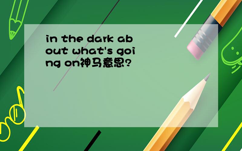 in the dark about what's going on神马意思?
