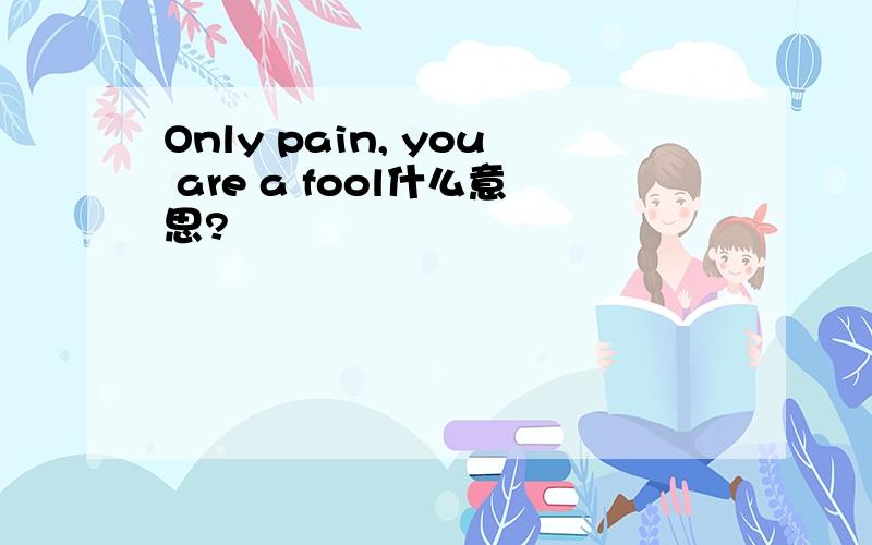 Only pain, you are a fool什么意思?
