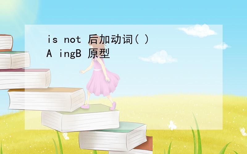 is not 后加动词( )A ingB 原型
