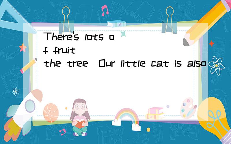 There's lots of fruit _____ the tree．Our little cat is also ______ the treeA：in；in\x05B：on；on C：in；onD：on；in