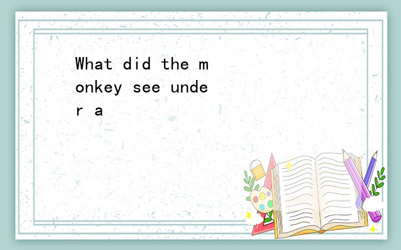 What did the monkey see under a