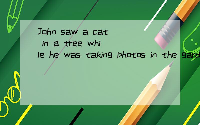 John saw a cat in a tree while he was taking photos in the garden./saw a cat in a tree画线