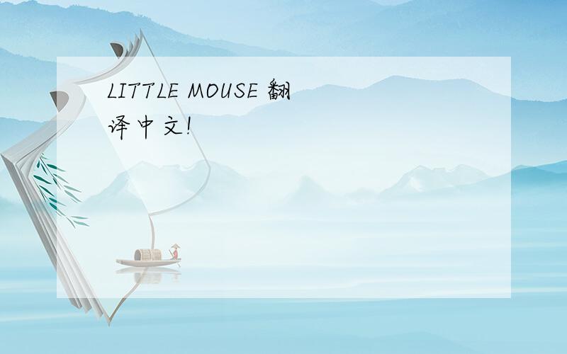 LITTLE MOUSE 翻译中文!