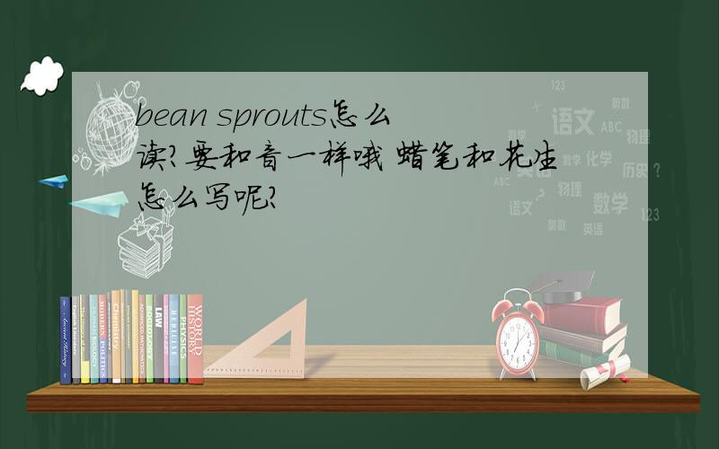 bean sprouts怎么读?要和音一样哦 蜡笔和花生怎么写呢?