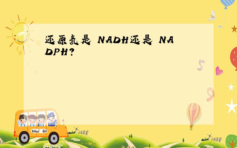 还原氢是 NADH还是 NADPH?