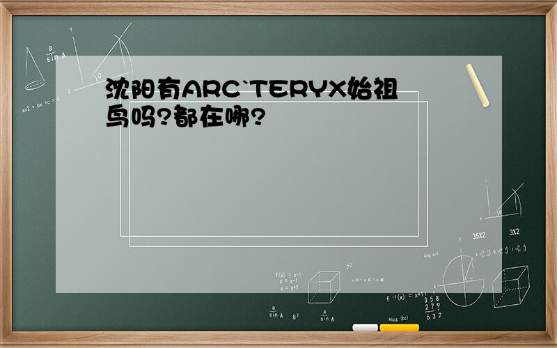 沈阳有ARC`TERYX始祖鸟吗?都在哪?