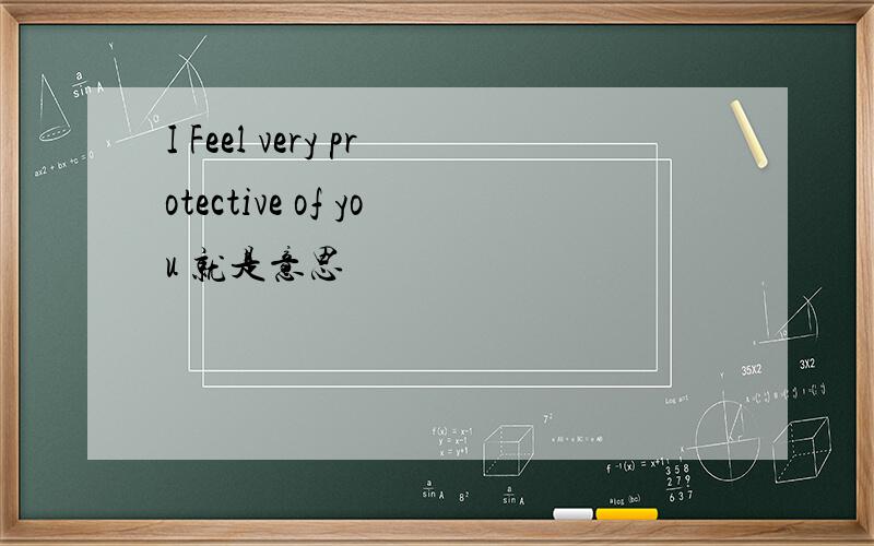 I Feel very protective of you 就是意思