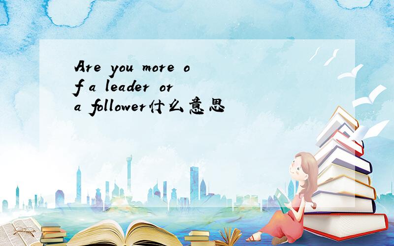 Are you more of a leader or a follower什么意思