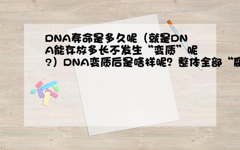 DNA寿命是多久呢（就是DNA能存放多长不发生“变质”呢?）DNA变质后是啥样呢？整体全部“腐烂”还是只剩一个空“骨架”呢？DNA所需年数和血细胞一样长吗？