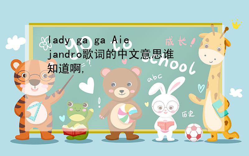 lady ga ga Aiejandro歌词的中文意思谁知道啊,