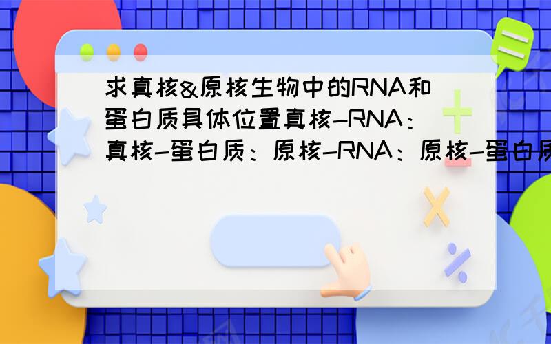 求真核&原核生物中的RNA和蛋白质具体位置真核-RNA：真核-蛋白质：原核-RNA：原核-蛋白质：填细胞结构名称我手里没有生物书,=p