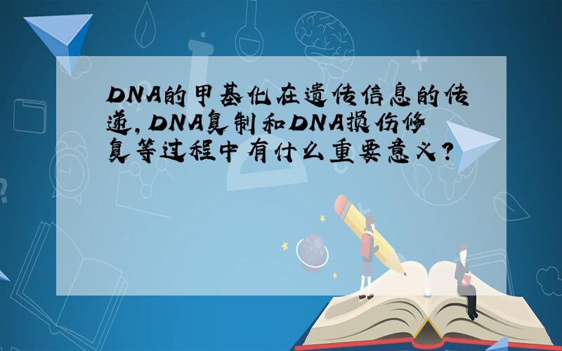 DNA的甲基化在遗传信息的传递,DNA复制和DNA损伤修复等过程中有什么重要意义?