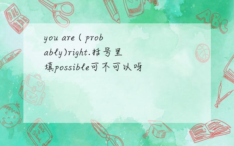 you are ( probably)right.括号里填possible可不可以呀