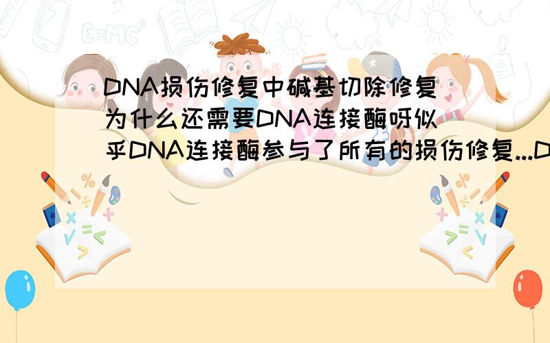 DNA损伤修复中碱基切除修复为什么还需要DNA连接酶呀似乎DNA连接酶参与了所有的损伤修复...DNA连接酶不是用于连接片段,而聚合酶才是单个添加碱基吗?