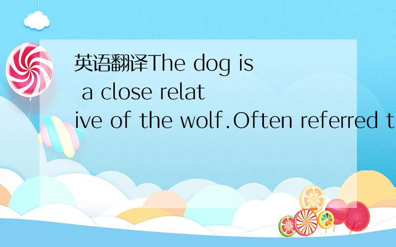 英语翻译The dog is a close relative of the wolf.Often referred to as 