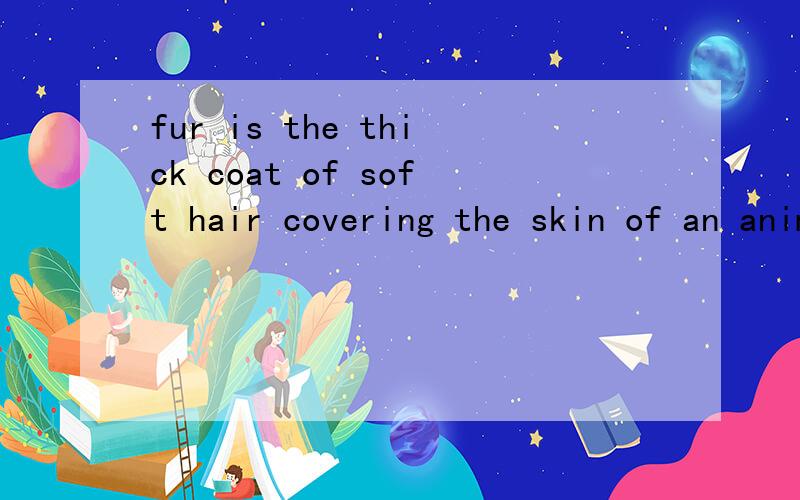 fur is the thick coat of soft hair covering the skin of an animal 翻译谢谢不要机器翻译，谢谢