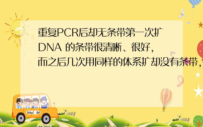 重复PCR后却无条带第一次扩DNA 的条带很清晰、很好,而之后几次用同样的体系扩却没有条带,很是不理解