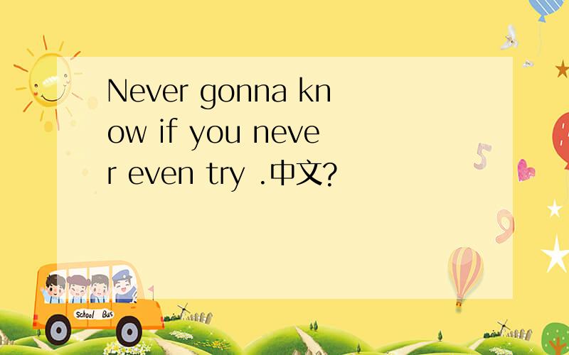 Never gonna know if you never even try .中文?