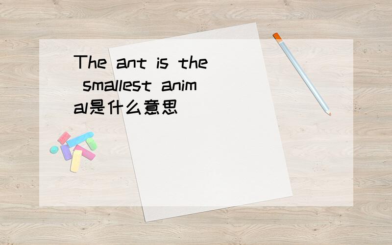 The ant is the smallest animal是什么意思