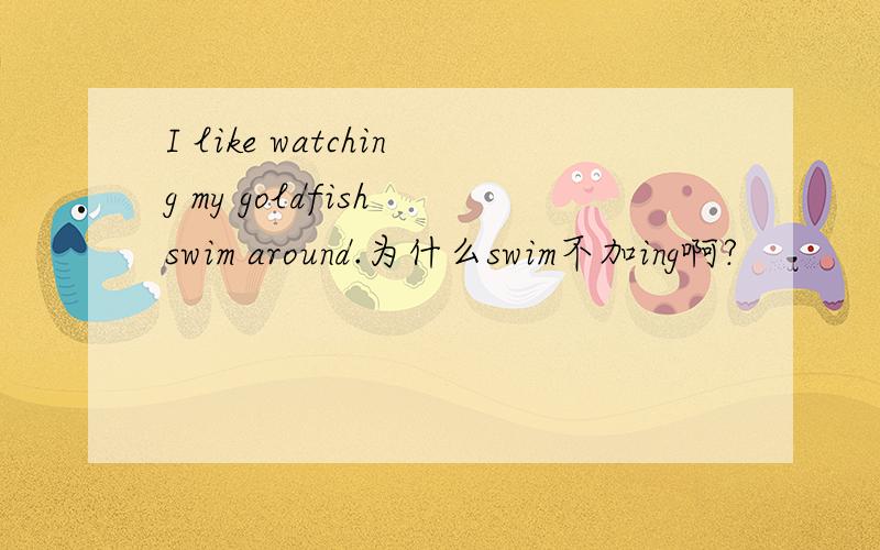 I like watching my goldfish swim around.为什么swim不加ing啊?