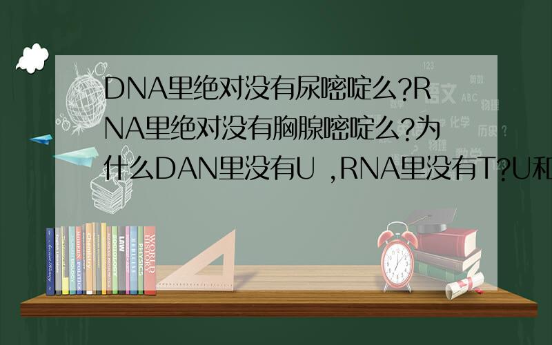 DNA里绝对没有尿嘧啶么?RNA里绝对没有胸腺嘧啶么?为什么DAN里没有U ,RNA里没有T?U和T的有无可以用来鉴别核酸类型吗?
