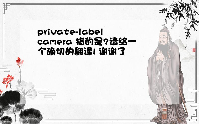 private-label camera 指的是?请给一个确切的翻译! 谢谢了