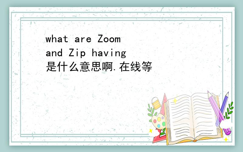 what are Zoom and Zip having是什么意思啊.在线等