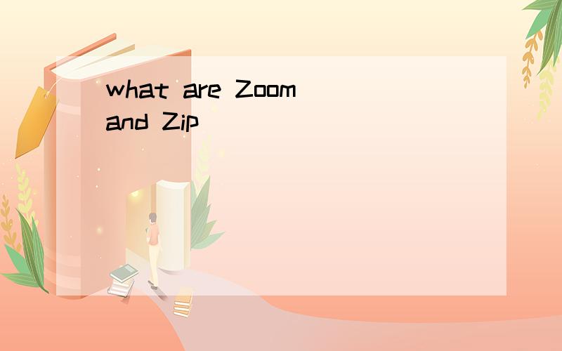 what are Zoom and Zip