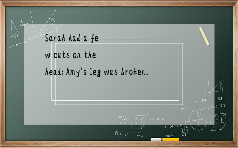 Sarah had a few cuts on the head;Amy's leg was broken.