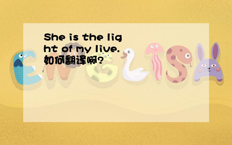 She is the light of my live.如何翻译啊?