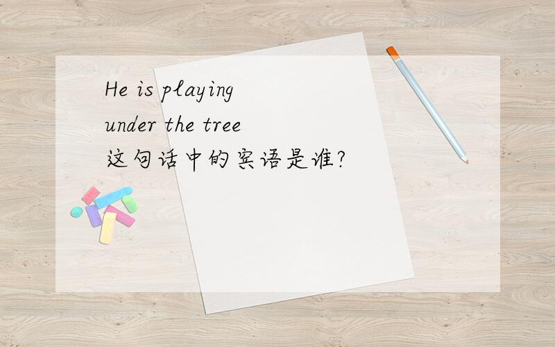He is playing under the tree这句话中的宾语是谁?
