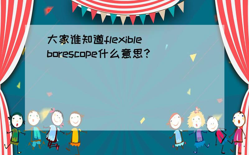 大家谁知道flexible borescope什么意思?