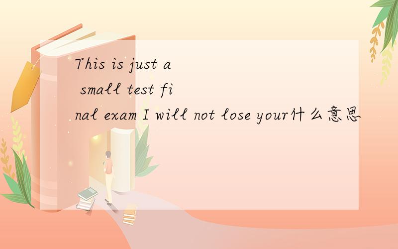 This is just a small test final exam I will not lose your什么意思