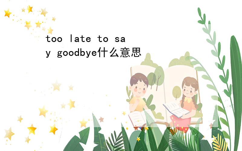 too late to say goodbye什么意思