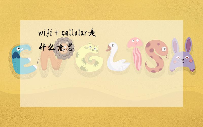 wifi+cellular是什么意思