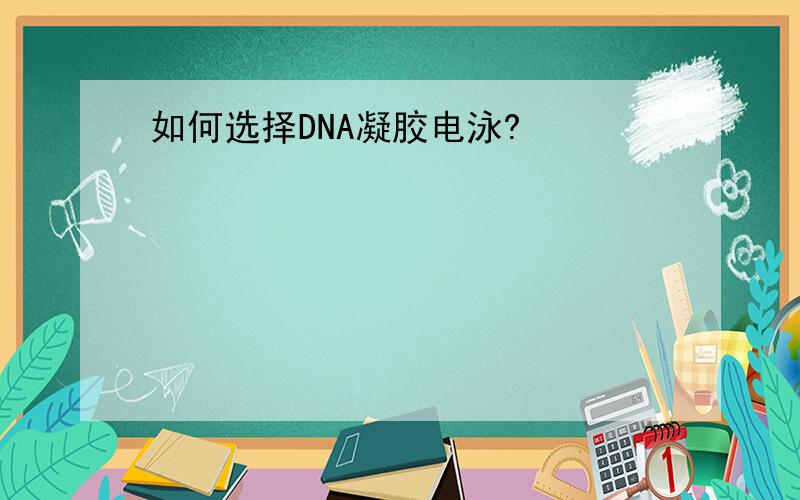 如何选择DNA凝胶电泳?