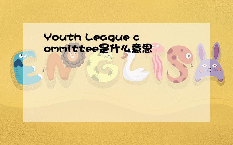 Youth League committee是什么意思
