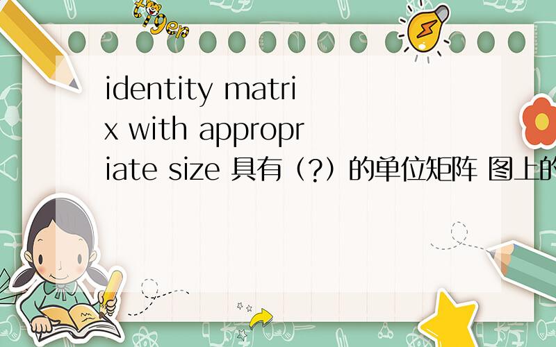identity matrix with appropriate size 具有（?）的单位矩阵 图上的appripeite sizes在句中要怎么翻译